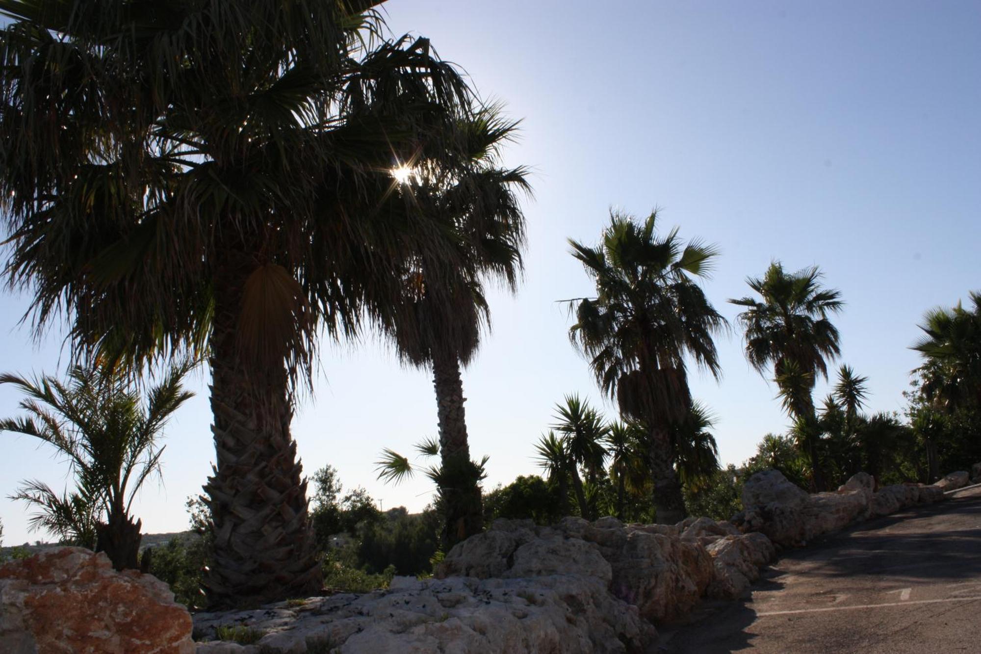 Messapia Hotel & Resort Santa Maria di Leuca Extérieur photo